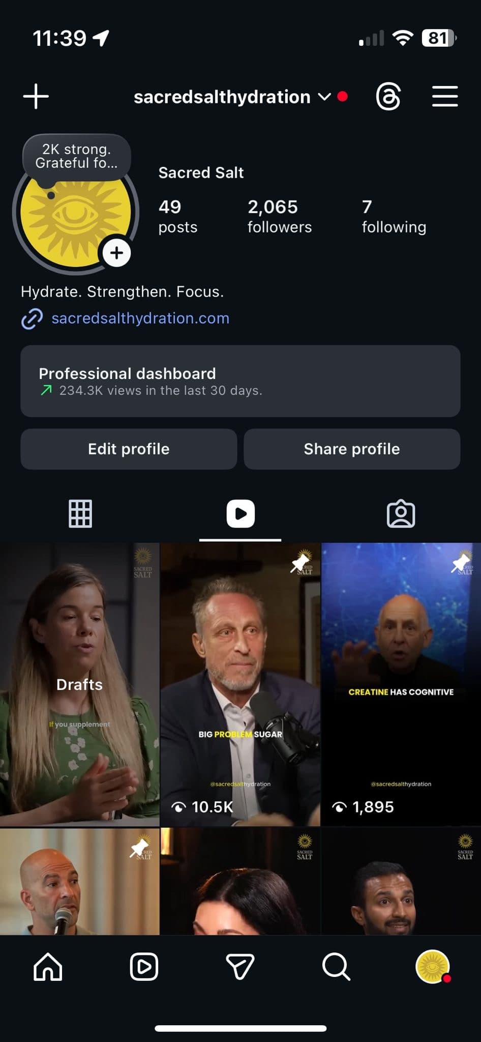 Sacred Salt Instagram profile reaching 2,065 followers and 234.3K views in 30 days